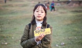 吴倩爆料杨幂视频大全集,视频大全集深度解析