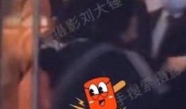 刘大锤最新视频爆料,最新视频爆料背后的惊人真相